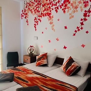 Chambre Standarde Double